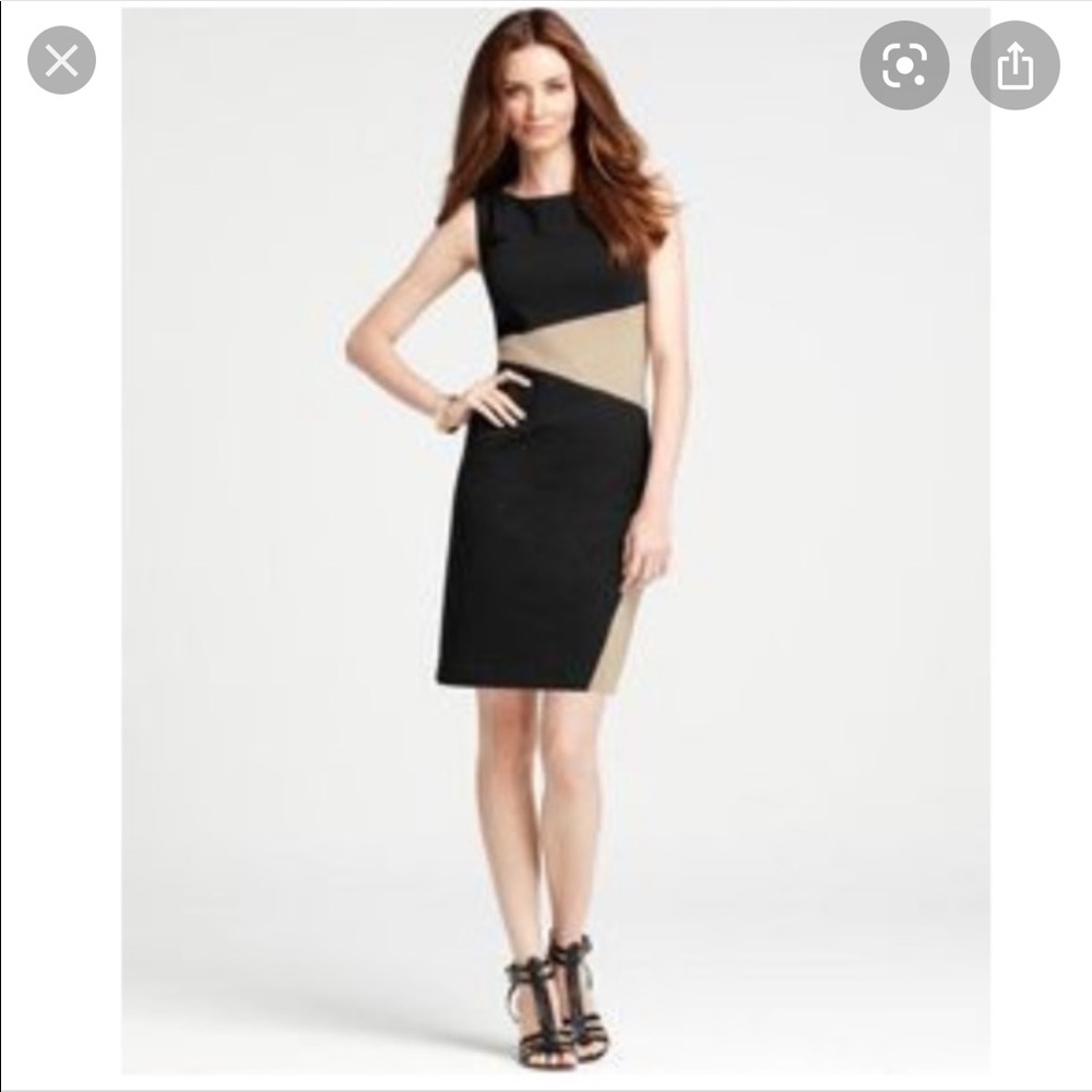 Black & Tan Ann Taylor Dress